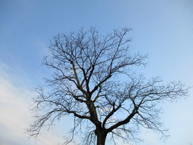 2014214青空.JPG