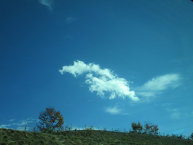 2019117富山青空.JPG