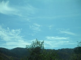 2019117.JPG