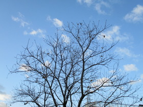 2019123A.JPG