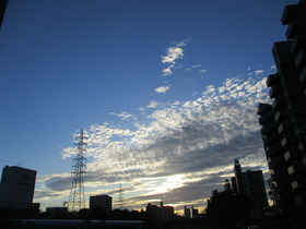 201998閾 (2).JPG