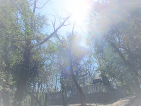 20200323R_.JPG