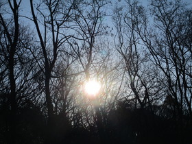 20200326太陽.JPG