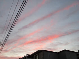 202010276O.JPG