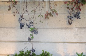 20201030c^➁.JPG