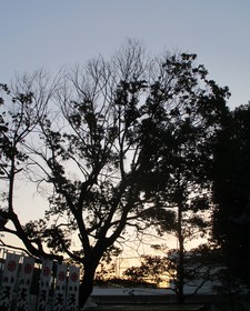 20201227閾.JPG
