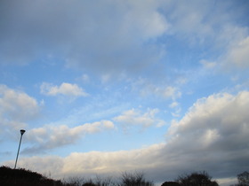 2020122朝A.JPG