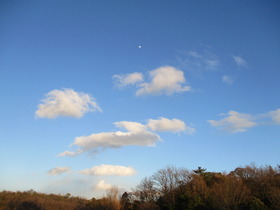 202025青空雲.JPG