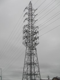 20210816S.JPG