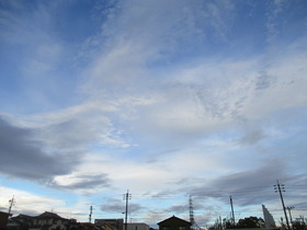 20210819.JPG