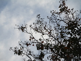 20211110.JPG