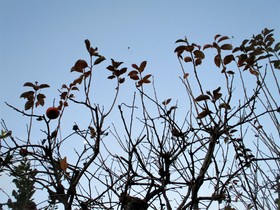 20211124~̊`.JPG