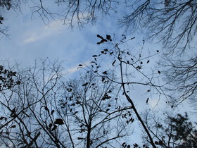 20211224.JPG
