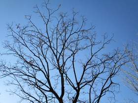 2021123Ɛ.JPG