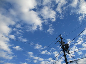 2021128.JPG