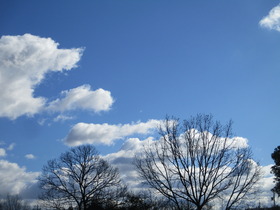 20220121V10.JPG