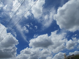 20220811E.JPG
