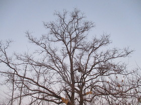 20230107.JPG
