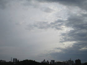 20230513曇りの朝.JPG