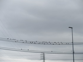 20240218d̏.JPG