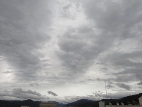 20240403l܂.JPG