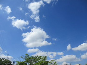 20240503.JPG