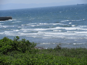 20240521m.JPG