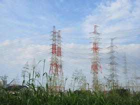 20240706S.JPG