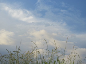 202408248A.JPG