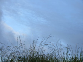 20240916G.JPG