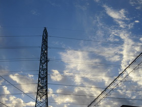 20241010.JPG