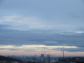 20241111.JPG