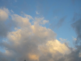 20241112ӏH̋.JPG