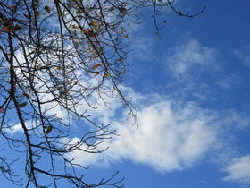 20241124.JPG