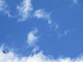 20241212.JPG