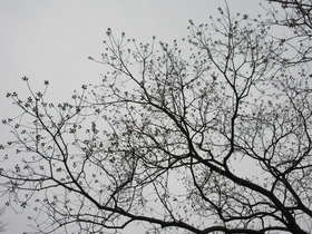20250106@.JPG