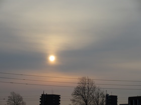 20250123z.JPG