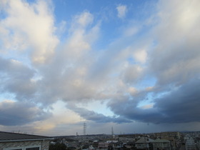 20250305A.JPG
