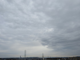 20250402.JPG