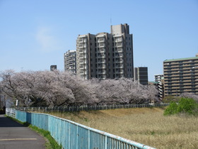 20250409V쉈.JPG