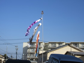 20250414Rĉ݂̂ڂ.JPG