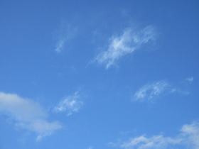 20250502.JPG