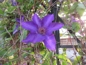 20250505N}`X.JPG