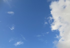 20250522.JPG