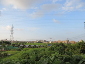 20250712~Xc.JPG