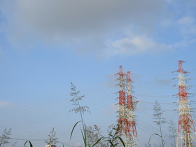 20250712S.JPG