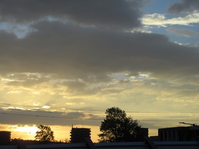 20251110�閾�� (2).JPG