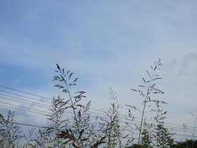 2240706.JPG