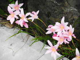 DSCN5584.JPG