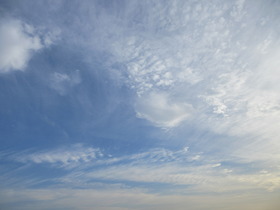 IMG_2761.JPG